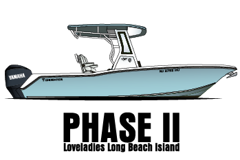 Delivered Artwork Preview